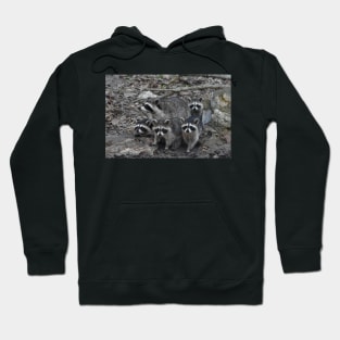 Raccoon Family Hoodie